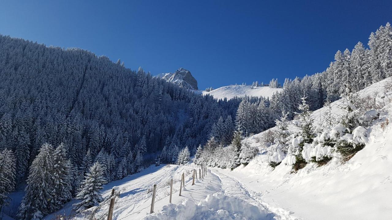 Charming Chalet With Panoramic View And Private Parking In Gruyere Gruyeres Kültér fotó